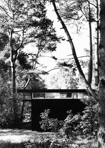 Vista de la casa entre la vegetación